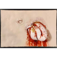 Тренувальна накладка симулятор евентрації кішківника